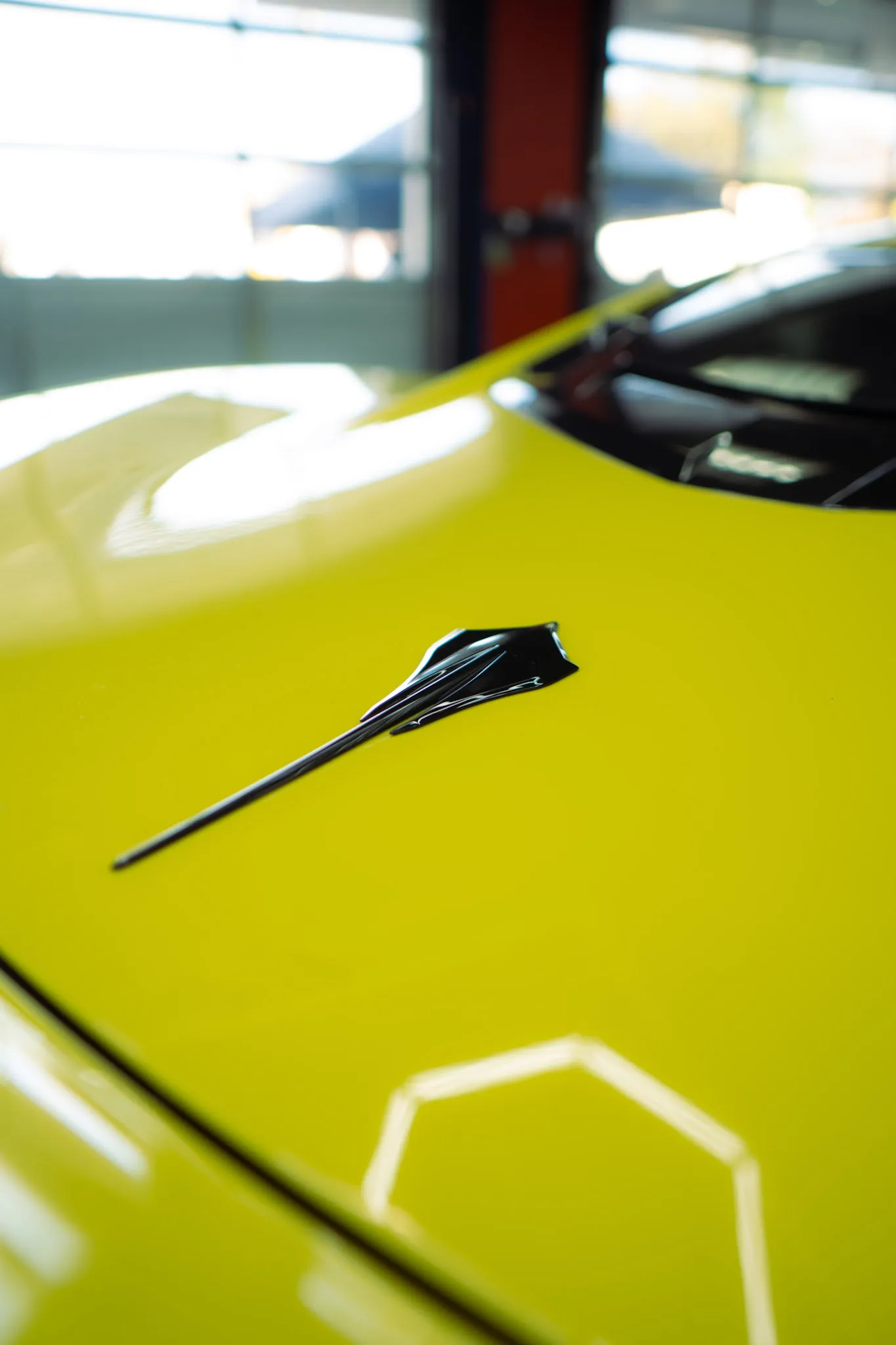 Black stingray emblem on the glossy yellow hood of a sports car, hexagon light reflected in the paint