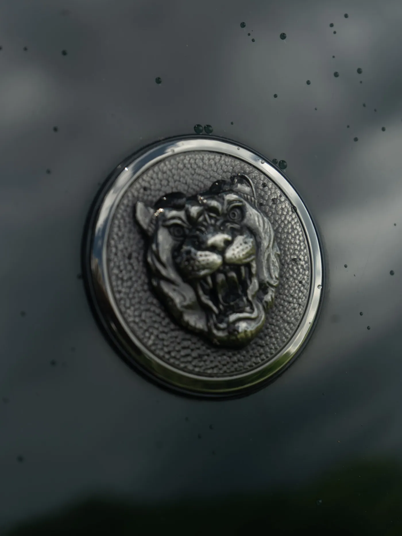 Small beads of water sitting on dark paint around a Jaguar hood badge